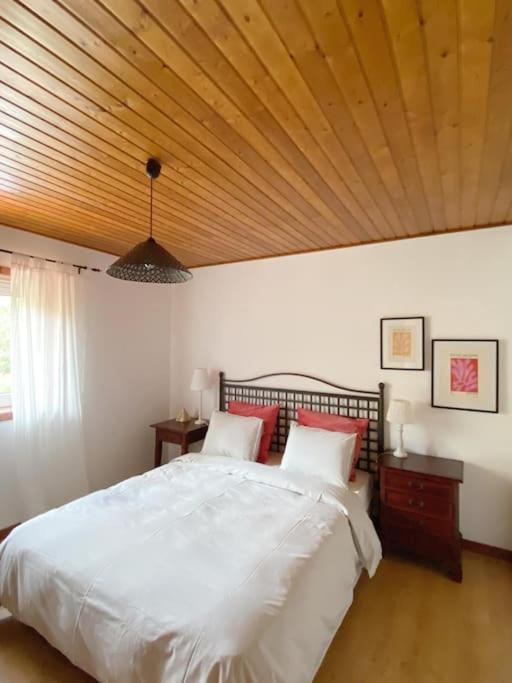 Paredes de Viadores Casa De Alventela - Countryside Houseヴィラ エクステリア 写真