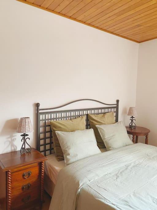 Paredes de Viadores Casa De Alventela - Countryside Houseヴィラ エクステリア 写真